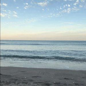 Meet your Posher, Phoebe